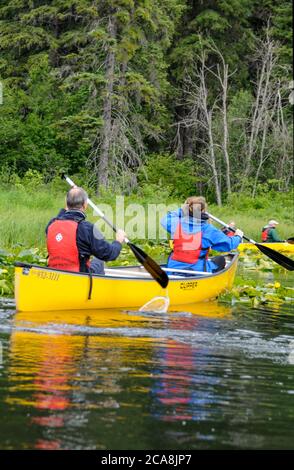 Un groupe de touristes pagaie leurs kayaks parmi les roseaux de la rivière des rêves d'or à Whistler, en Colombie-Britannique, au Canada Banque D'Images