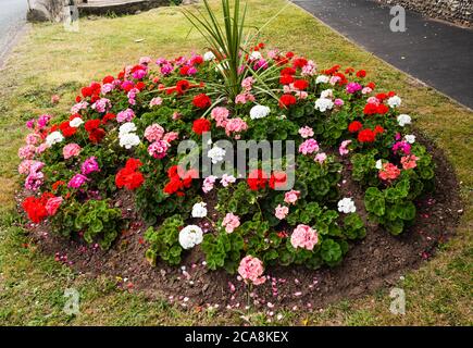 Exposition de fleurs East Budgleigh in Bloom. Aussi une démonstration de l'ouverture civique. Banque D'Images