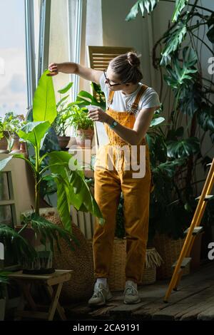 Jeune femme jardinier dans des combinaisons d'orange pulvérisant banane palmier maison, hydrate les feuilles pendant la saison de chauffage, monstera sur fond. Plus écologique Banque D'Images