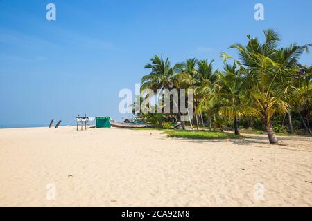 Plage de Marari, Alleppey (Alappuzha), Kerala, Inde, Asie Banque D'Images