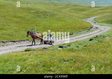 Réservoir de lait kirghize homme portant sur un cheval panier, Sary Jaz valley, région de l'Issyk Kul, Kirghizistan Banque D'Images