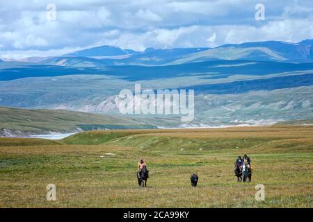 Des cavaliers kirghizes un bœuf, Sary Jaz valley, région de l'Issyk Kul, Kirghizistan Banque D'Images