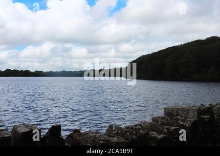 Vue sur le réservoir d'Anglezarke depuis Bridge, inc Trees, à Anglezarke, Chorley, Angleterre Banque D'Images