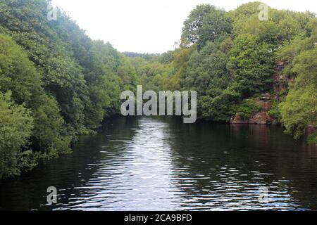 Réservoir d'Anglezarke à travers des arbres épais et bas, vue du pont à Anglezarke, Chorley, Angleterre Banque D'Images