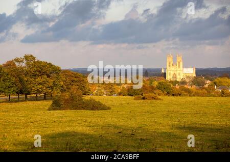 Vue d'automne sur Westwood, une zone de pâturage commune historique en direction de Beverley Minster, dans le Yorkshire de l'est Banque D'Images