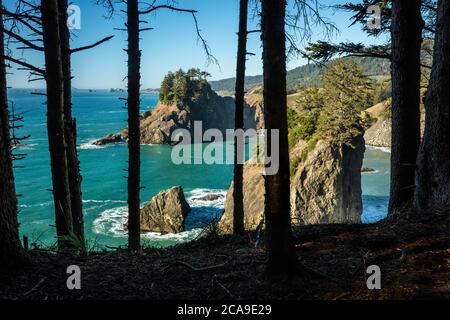 Seastacks et l'océan Pacifique vus à travers les arbres, Windy point, Arch Rock Picnic Area, Samuel H. Boardman State Park, Oregon Banque D'Images