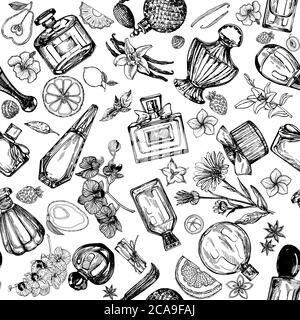 Motif sans couture de flacons de parfum et de plantes dessinés à la main, isolés sur fond blanc. Illustration vectorielle. Illustration de Vecteur