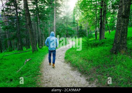 Homme randonnée pédestre sur un sentier dans la forêt verte boisée sous la lumière du soleil Banque D'Images