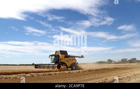 Une moissonneuse-batteuse coupe une récolte d'orge de printemps dans un champ près d'Ashford, dans le Kent, alors que le temps chaud continue. Banque D'Images