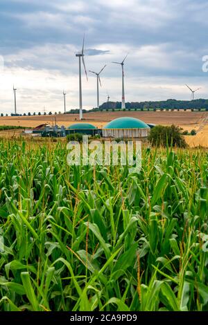 Parc éolien, usine de biogaz, près du village Eisenach, au sud de Bitburg, Eifel, Rhénanie-Palatinat. Allemagne, Banque D'Images