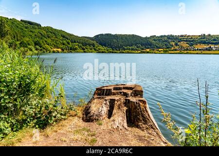 Meerfelder Maar, Vulkaneifel, lac vulcanique, Eifel, Rhénanie-Palatinat, Allemagne, Banque D'Images