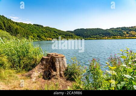 Meerfelder Maar, Vulkaneifel, lac vulcanique, Eifel, Rhénanie-Palatinat, Allemagne, Banque D'Images