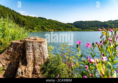 Meerfelder Maar, Vulkaneifel, lac vulcanique, Eifel, Rhénanie-Palatinat, Allemagne, Banque D'Images