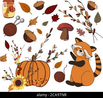 Ensemble vectoriel d'icônes d'automne. Composition d'automne. Autocollants. Panda rouge mignon. Citrouille. Récolte. Jour de Thanksgiving. Illustration isolée sur blanc Illustration de Vecteur