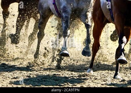 Une vue générale tandis que les coureurs se mettent à pied sur la surface du Polytrack lorsqu'ils entrent dans la ligne droite dans le Betrway handicap à l'hippodrome de Lingfield Park, Surrey. Banque D'Images