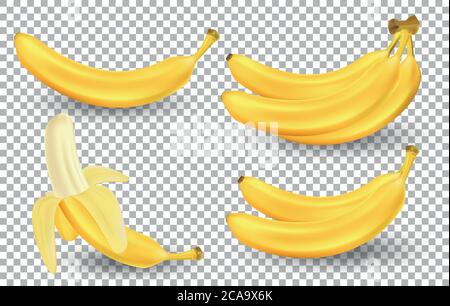 Ensemble réaliste de bananes isolées sur fond transparent. Petits pains de fruits frais de banane jaune. Illustration vectorielle de fruits tropicaux Illustration de Vecteur