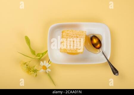 Gros plan sur le miel d'acacia frais avec nid d'abeille, cuillère, tilleul et fleurs de camomille sur plaque blanche sur fond beige jaune, vue en hauteur sur le dessus, direct Banque D'Images