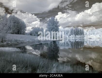 paysage abstrait photographié avec filtre infrarouge, les arbres ressemblent à en hiver, de belles réflexions de nuages dans l'eau, paysage surréaliste Banque D'Images