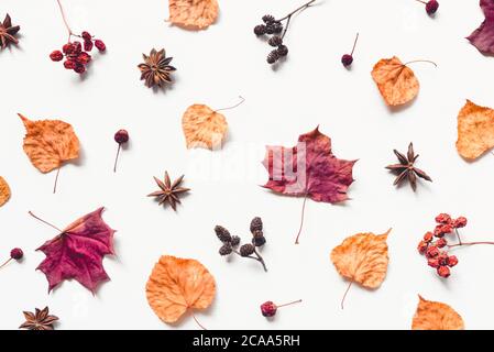 Motif d'automne composé de feuilles, de baies et de cônes. Banque D'Images