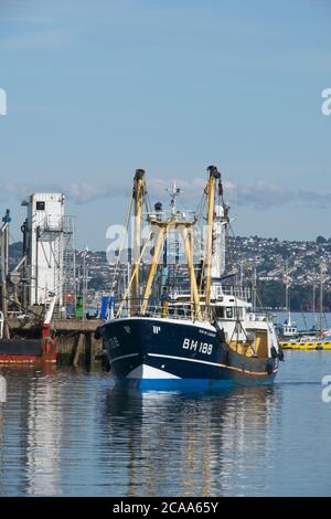 Brixham Trawler BM188 Sam de Ladram revenant au port large Chalutiers de mer manœuvrant dans le port de Brixham vue frontale mer calme et ciel bleu clair Banque D'Images