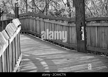 Image en noir et blanc d'une passerelle en bois sur un sol marécageux Banque D'Images