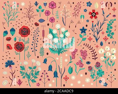 Ensemble plantes et herbes de fleurs sauvages Illustration de Vecteur