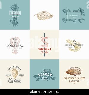 Ensemble de panneaux vectoriels ou de modèles de logo rétro de qualité supérieure pour fruits de mer. Esquisses Vintage dessinées à la main avec typographie élégante, crevettes, huîtres, calmar Illustration de Vecteur