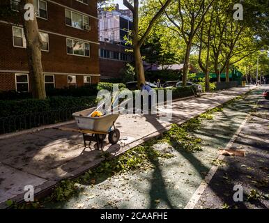 Les travailleurs nettoient les branches et débris isolés à Chelsea, à New York, juste après que la tempête tropicale Isaias a explosé hors de la ville, le mardi 4 août 2020. (© Richard B. Levine) Banque D'Images