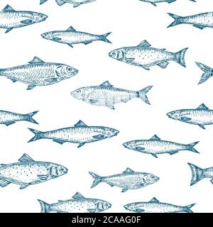 Motif d'arrière-plan transparent Fish Vector tracé à la main. Carte Anchois, Herrings et Salmons Sketches ou modèle de couverture en bleu. Illustration de Vecteur