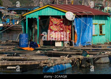 Cat Ba, Vietnam - 29 novembre 2016 : Maison d'un village flottant à proximité de l'île de Cat Ba dans la célèbre baie d'Halong au Vietnam Banque D'Images