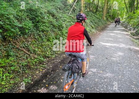 Vélo,vélo,balade,le long,de,la,route,pittoresque,Mawddach,Mawddach,sentier,populaire,le long,de,la,voie,ferroviaire,vue,entre, Dolgellau,et,Barmouth.cette,promenade,le long,rivière,et,rivière,estuaire,est,populaire,avec,cyclistes,randonneurs,randonneurs,et randonneurs,bois,Europe,Royaume-Uni,Royaume-Uni,Royaume-Uni,Royaume-Uni,Royaume-Uni,Royaume-Uni,Royaume-Uni,Royaume-Uni,et,forêt,Royaume-Uni,Royaume-Uni,Royaume-Uni,forêt,Royaume-Uni,Royaume-Uni,Royaume-Uni,Royaume-Uni,Royaume-Uni,Royaume-Uni Banque D'Images