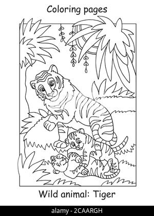 Pages de coloriage vectoriel avec famille de tigres mignons en forêt. Illustration de contour de dessin animé isolée sur fond blanc. Illustration du stock pour colorier boo Illustration de Vecteur