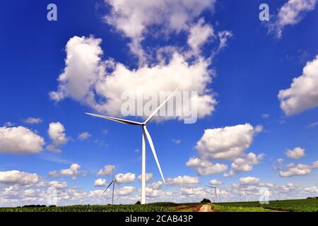 Kernan, Illinois, États-Unis. Une éolienne à l'intérieur d'un champ d'éoliennes éclipse les cultures et le paysage environnants sur une ferme du centre-nord de l'Illinois. Banque D'Images