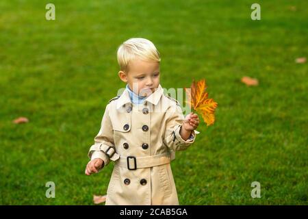 Enfant d'automne s'amuser et jouer avec les feuilles d'or tombées, feuille d'automne. Banque D'Images