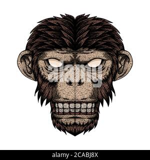 Illustration vectorielle de la tête de singe pour votre entreprise ou votre marque Illustration de Vecteur