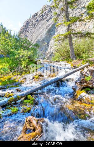 Ruisseau qui coule des lacs Grassi dans la ville de Canmore à Kananaskis, un lieu de randonnée populaire dans les Rocheuses canadiennes de l'Alberta, Canada. Banque D'Images