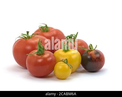 Tomates jaunes et rouges sur fond blanc Banque D'Images