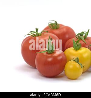 Tomates jaunes et rouges sur fond blanc Banque D'Images