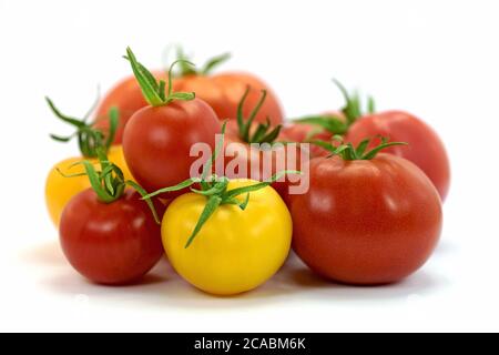 Tomates jaunes et rouges sur fond blanc Banque D'Images