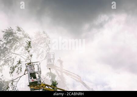 Double exposition de l'homme arborien dans l'air, ciel nuageux, sur ascenseur jaune, panier avec commandes, coupant le cerisier mort, avec la tronçonneuse dans le Banque D'Images