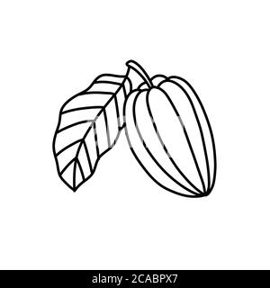 icône de croodle de fruits et de haricots cacao, illustration de la ligne vectorielle Illustration de Vecteur