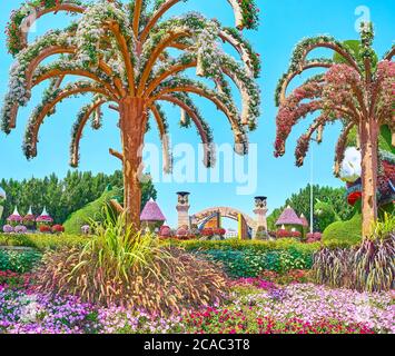 DUBAÏ, Émirats Arabes Unis - 5 MARS 2020 : les massifs fleuris et les installations d'arbres, couverts de fleurs dans le jardin Miracle, le 5 mars à Dubaï Banque D'Images