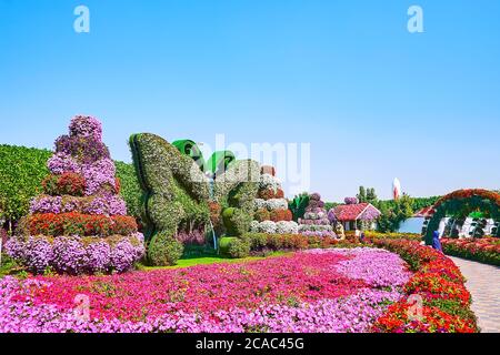 DUBAÏ, Émirats Arabes Unis - 5 MARS 2020 : le lit de fleurs rose vif de pétunias est décoré avec installation de papillons et stand avec des plantes en pots, Miracle Gar Banque D'Images