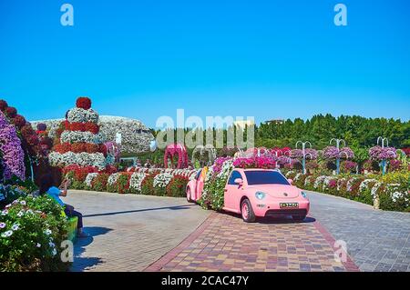 DUBAÏ, Émirats Arabes Unis - 5 MARS 2020 : la voiture rose avec ses parterres fleuris pittoresques de pétunias, Miracle Garden, le 5 mars à Dubaï Banque D'Images