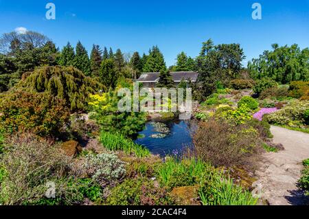 Le Rock Garden au Royal Botanic Garden Édimbourg, Écosse Royaume-Uni avec Caledonian Hall Banque D'Images