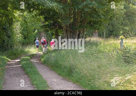 Adultes, proches membres de la famille à la recherche de l'attention, le bien-être, faire une différence, en marchant en bord de route, le long de la route de campagne relativement calme et sûre Norfolk, Royaume-Uni. Banque D'Images