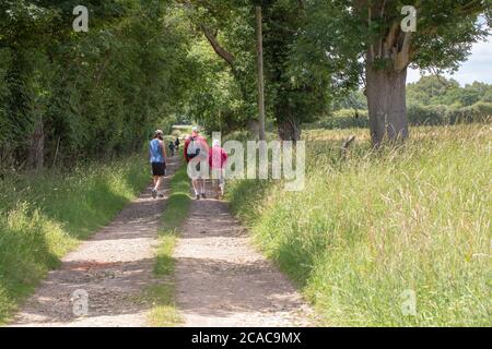 Groupe familial, en profitant de la randonnée en plein air le long d'une campagne, campagne ou de la voie non-faite. Ingham, Norfolk. East Anglia, Angleterre, Royaume-Uni. Banque D'Images