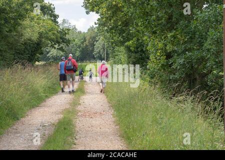 Les membres de la famille qui marchent, font de l'exercice, le long d'une ruelle verte. Adultes à pied, enfants à vélo. Rural Norfolk. Juin. Banque D'Images