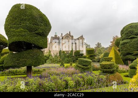 Plus ancien parc des Topiaires dans le monde avec des plantes à l'formes fantastiques Levens Hall en Cumbria, UK. Banque D'Images