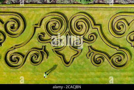 Hamilton, Écosse, Royaume-Uni. 6 août 2020. Le jardinier David Hood profite du temps sec et ensoleillé pour travailler dans le jardin du parterre au parc régional de Chatelherault à Hamilton, dans le Lanarkshire du Sud. Le jardin formel est un lieu populaire pour les mariages et le premier depuis le confinement de Covid-19 doit avoir lieu le lendemain le vendredi 7 août. Iain Masterton/Alay Live News Banque D'Images